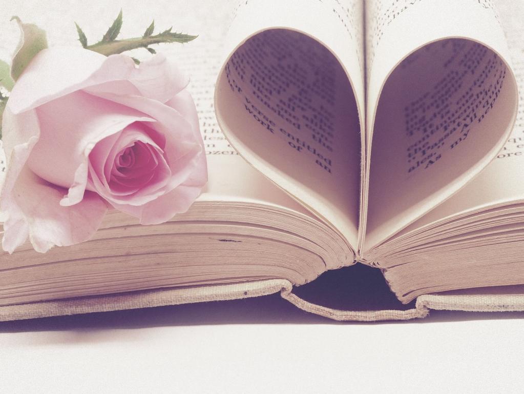 Ein offenes Buch mit einer großen, rosafarbenen Rose und grünem Laub auf dem Cover.